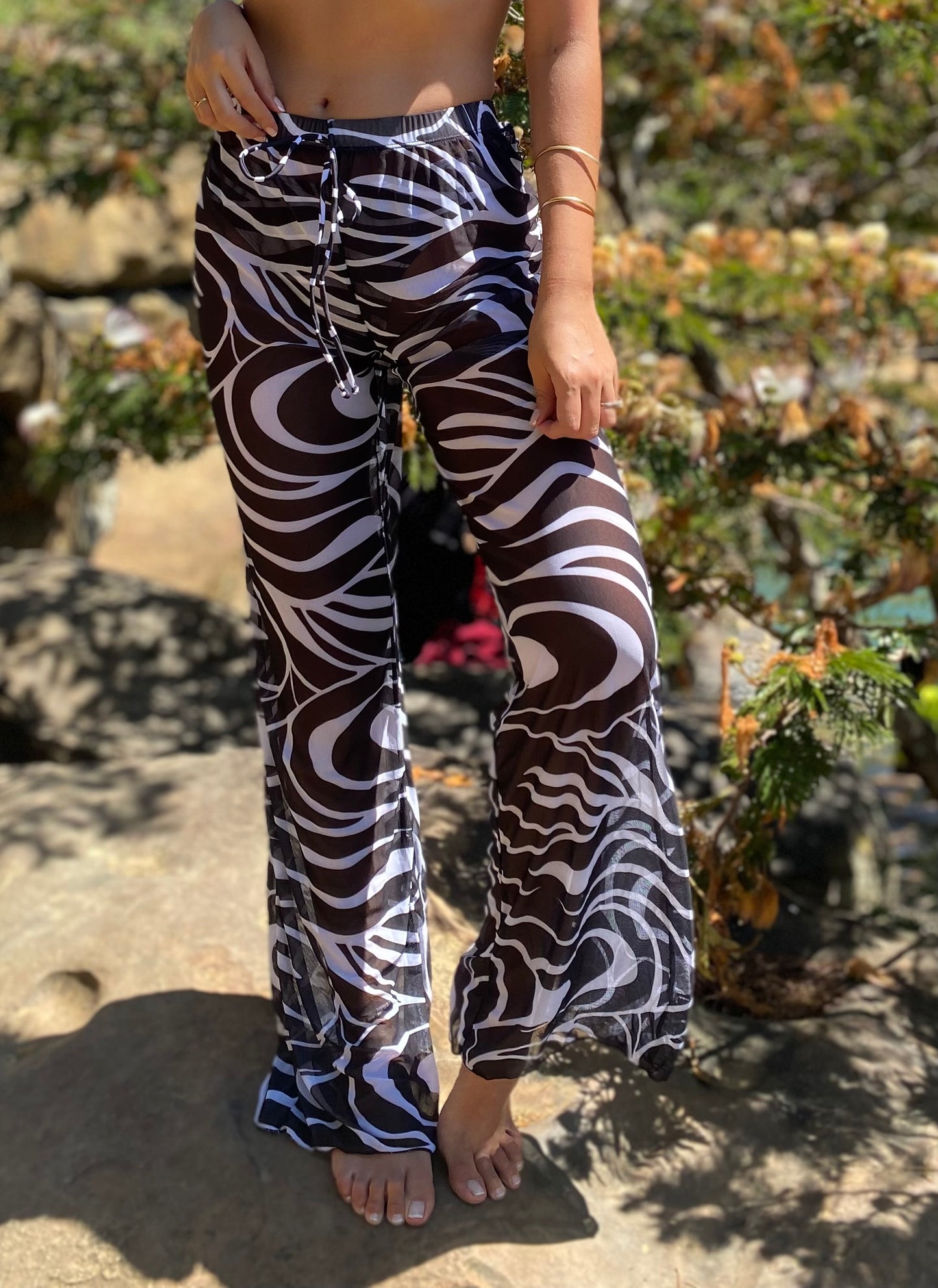 SET CATALINA